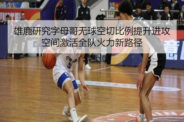 雄鹿研究字母哥无球空切比例提升进攻空间激活全队火力新路径