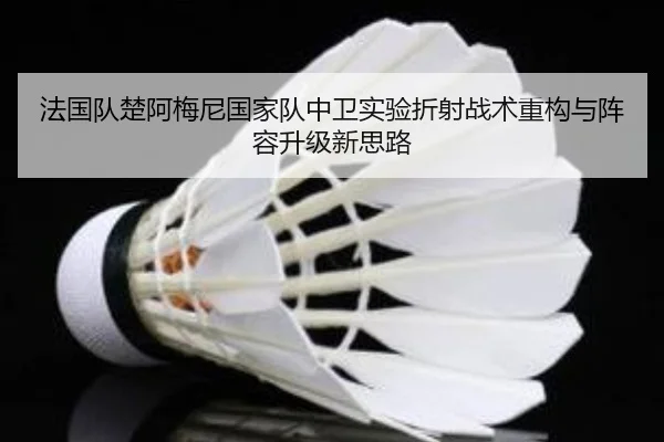 法国队楚阿梅尼国家队中卫实验折射战术重构与阵容升级新思路