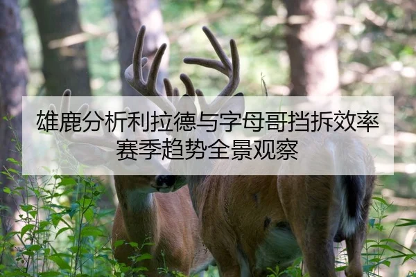 雄鹿分析利拉德与字母哥挡拆效率赛季趋势全景观察